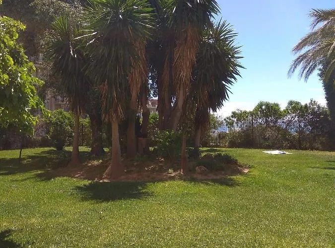 Aguila 110 베날마데나코스타