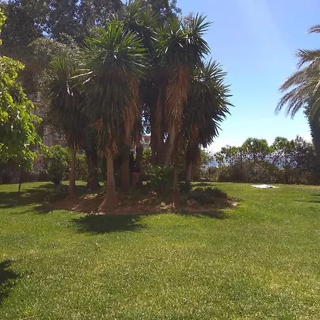 Aguila 110 Benalmádena